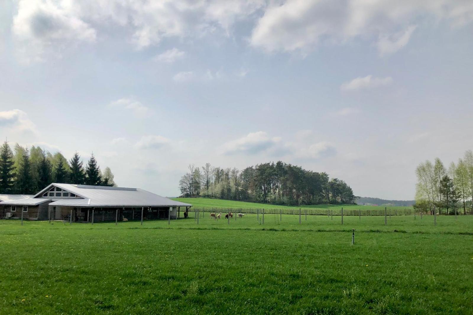 Alpakarium, Hodowla Alpak & Pensjonat Stara Kornica Exterior foto